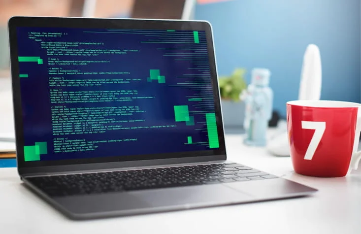 Mean Stack Development