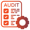 Audit Process